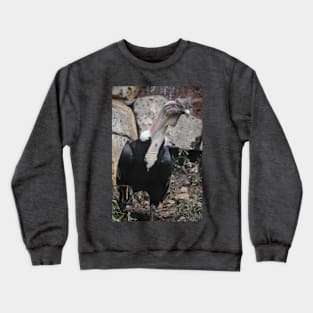 Andean Condor Crewneck Sweatshirt